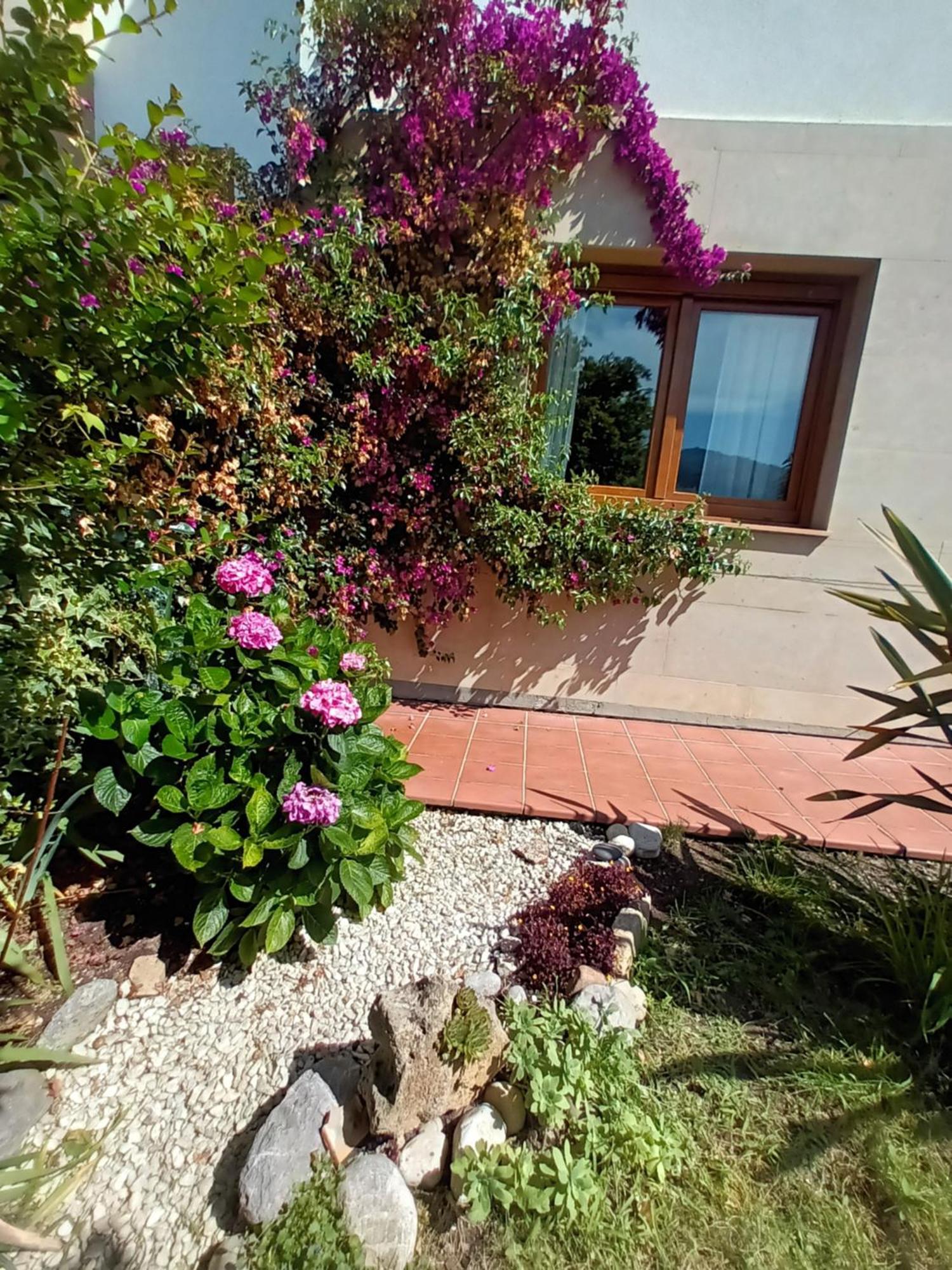 Cangas Natura Apartment Cangas de Onis
